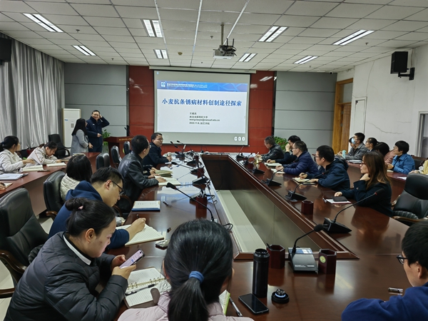 学术报告会现场_副本.jpg